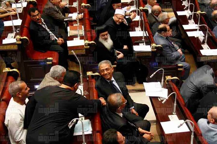 لجنة الخمسين لتعديل الدستور..جيهان نصر